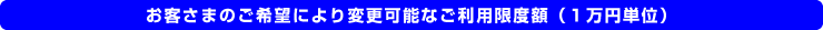お客さまのご希望により変更可能なご利用限度額(1万円単位)