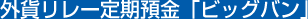 外貨リレー定期預金「ビッグバン」