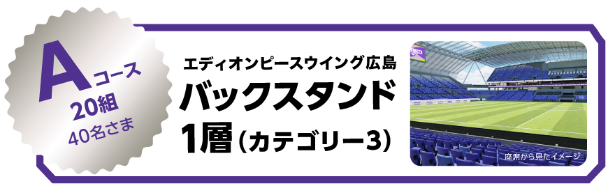要エントリー Aコース20組40名さま エディオンピースウイング広島 バックススタンド1層(カテゴリー3)