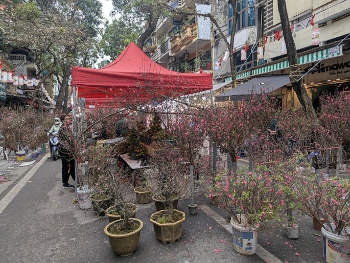 道端で販売される桃の花