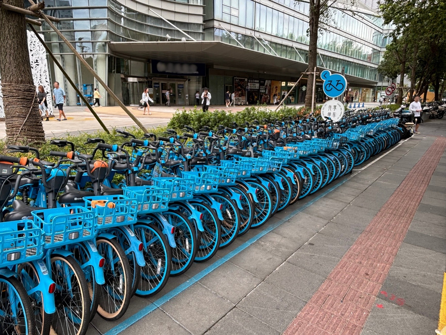 利用しやすいよう整然と並べられたシェアサイクル
