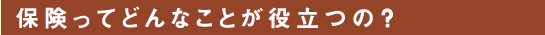 保険ってどんなことが役立つの？