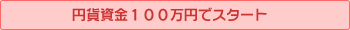円貨資金100万円でスタート