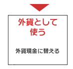 外貨として使う　外貨現金に替える