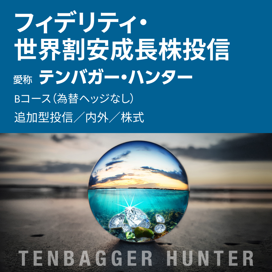 フィデリティ・世界割安成長株投信　Bコース（為替ヘッジなし）