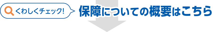 保障についての概要はこちら