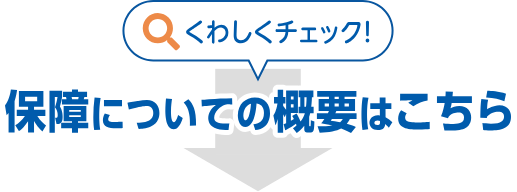 保障についての概要はこちら