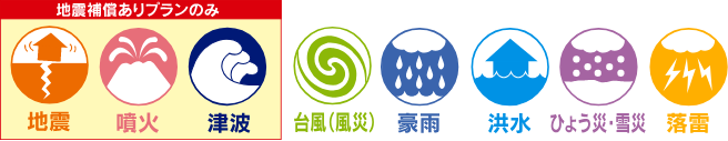 地震 噴火 津波 台風 豪雨 洪水 ひょう災・雪災 落雷
