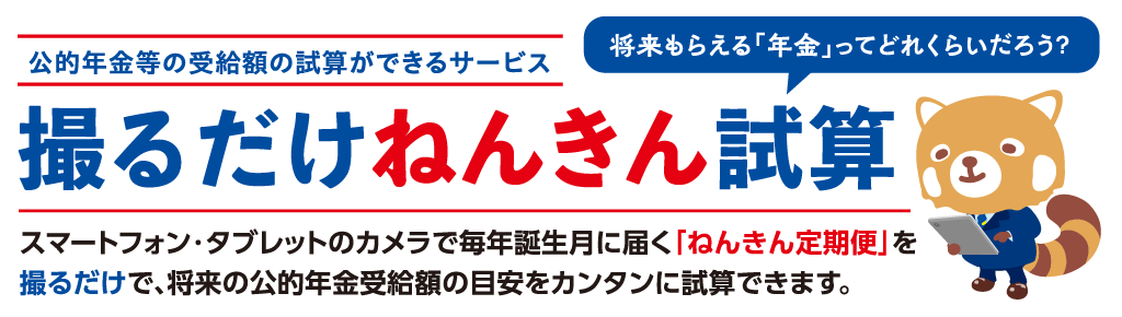 撮るだけねんきん試算
