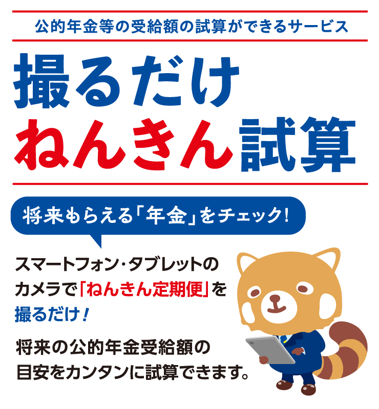 撮るだけねんきん試算