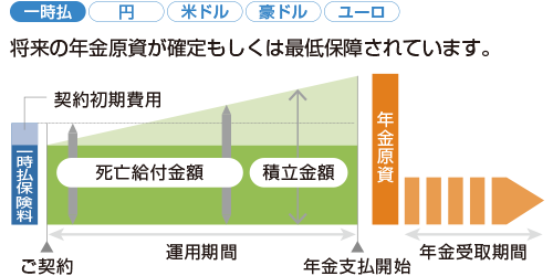 一時払定額年金保険