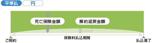 定期保険