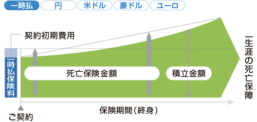 一時払定額終身保険