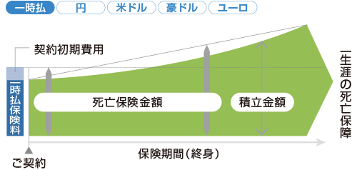 は 終身 保険 と やってはいけない保険選び！「外貨建て終身保険」vs「つみたてNISA+掛け捨て保険」