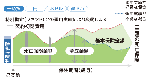 一時払変額終身保険
