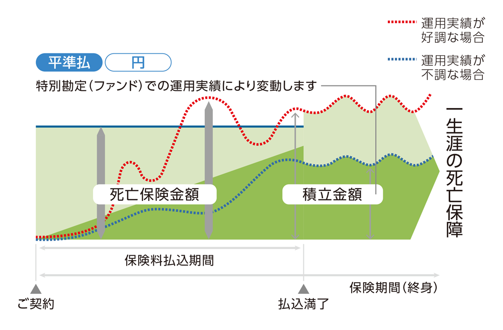 平準払変額終身保険